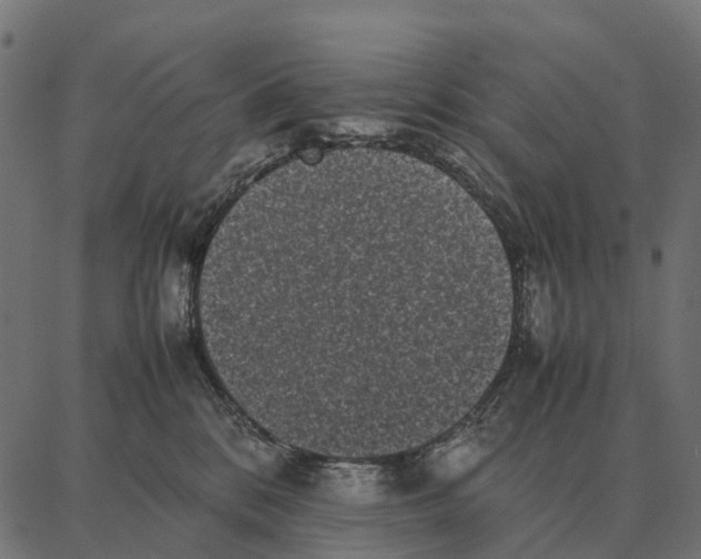 X0000087320328200705181017