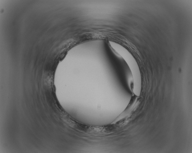 X0000087320329200705181017