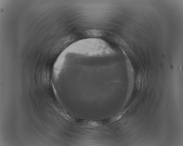 X0000087320330200705181017