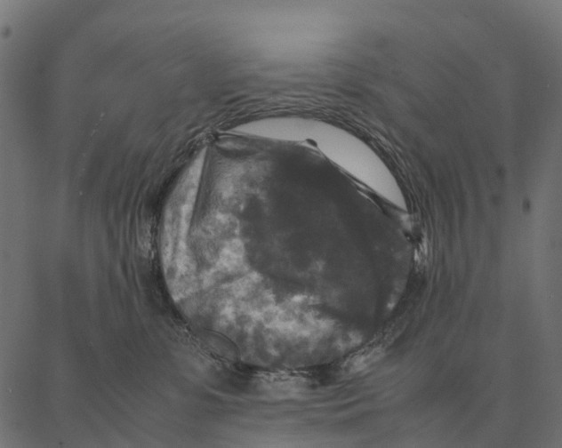 X0000087320331200705181017