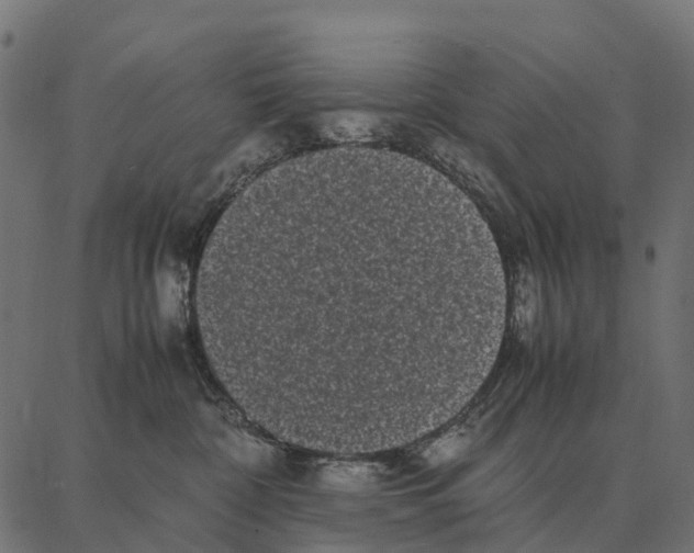 X0000087320332200705181017