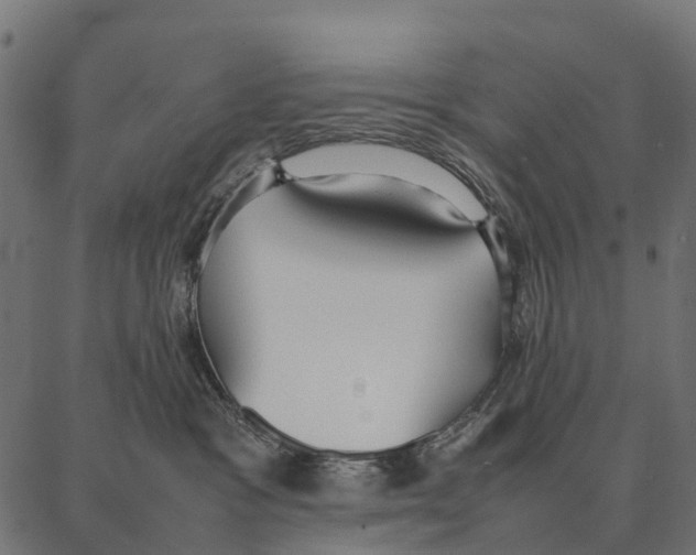 X0000087320333200705181017