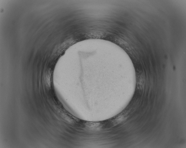 X0000087320334200705181017