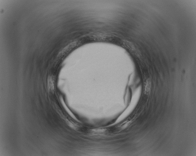 X0000087320335200705181017