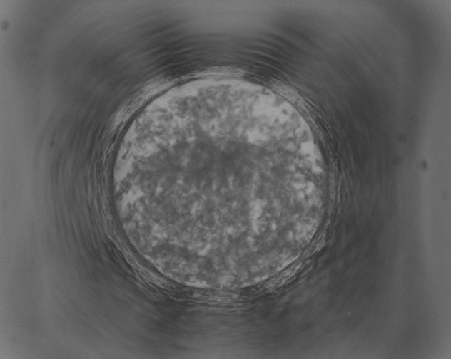 X0000087320337200705181016