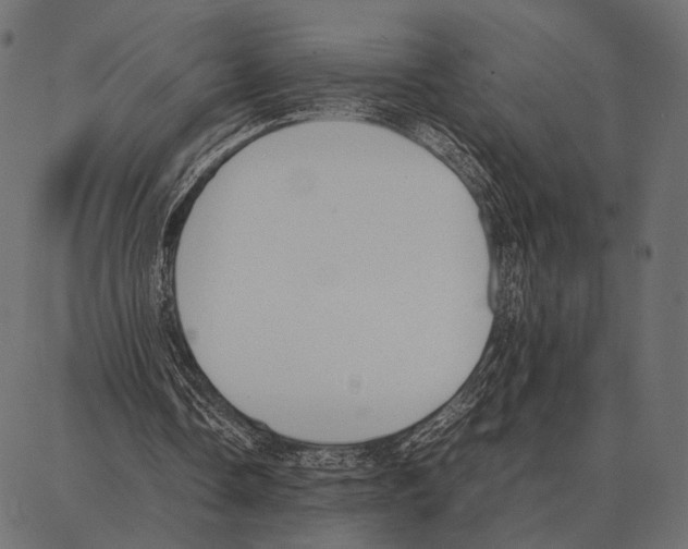 X0000087320338200705181016