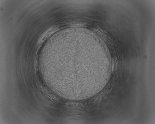 X0000087320339200705181016