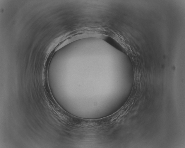 X0000087320340200705181016