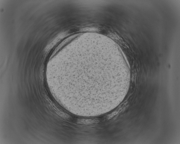 X0000087320341200705181016