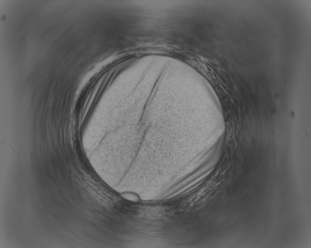 X0000087320342200705181016