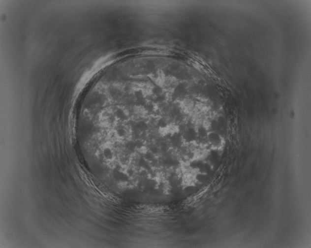 X0000087320343200705181016