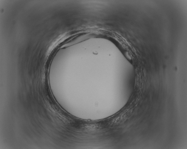 X0000087320344200705181016