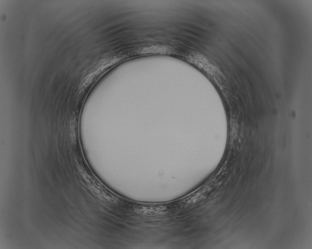 X0000087320345200705181016