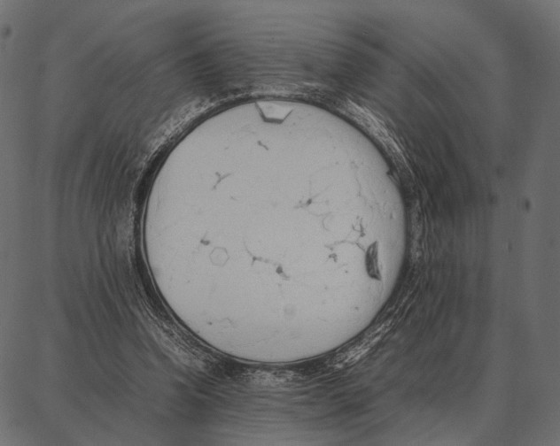 X0000087320346200705181016