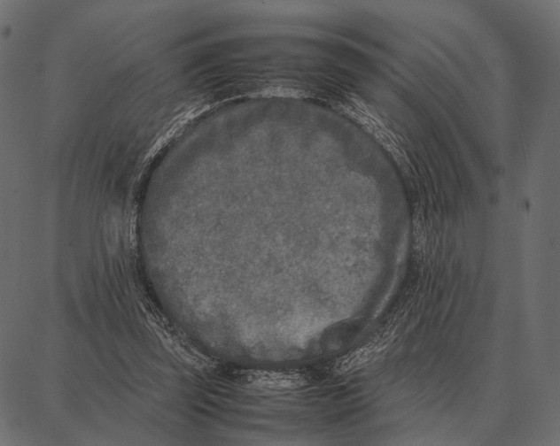 X0000087320347200705181017