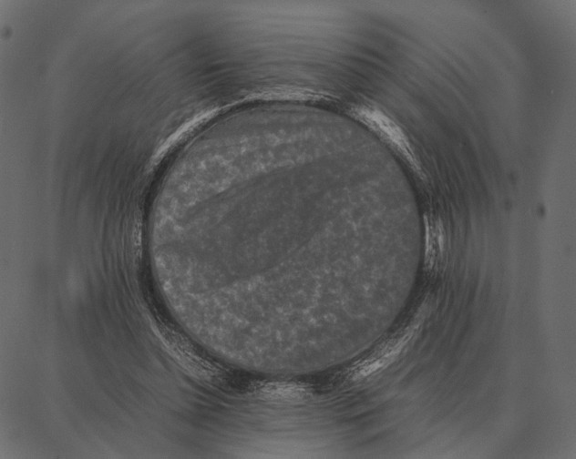 X0000087320348200705181017