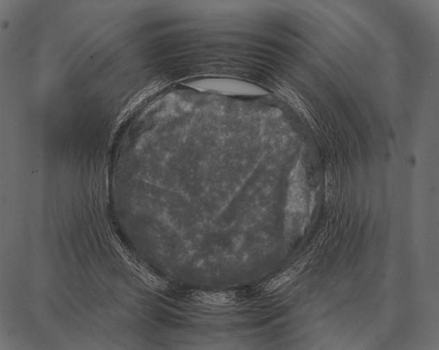 X0000087320349200705181017