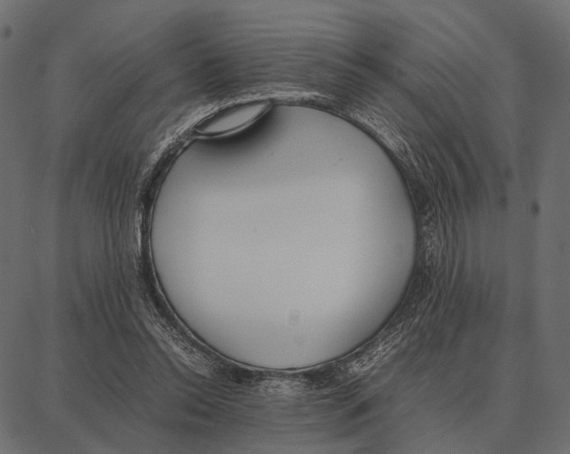 X0000087320350200705181017