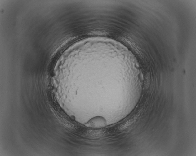 X0000087320351200705181017