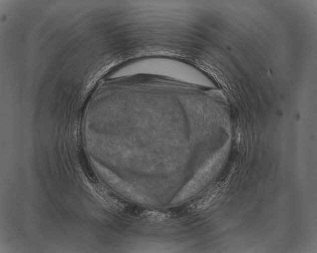 X0000087320352200705181017