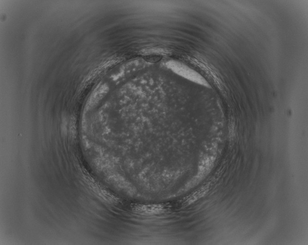 X0000087320353200705181017