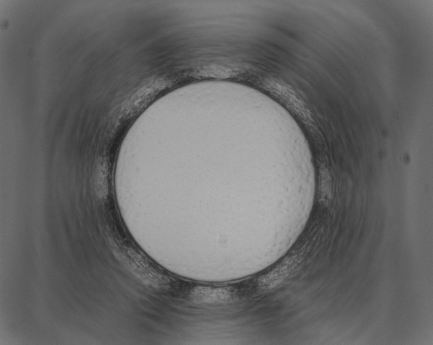 X0000087320354200705181017