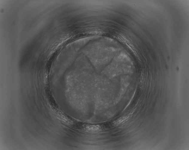 X0000087320355200705181017