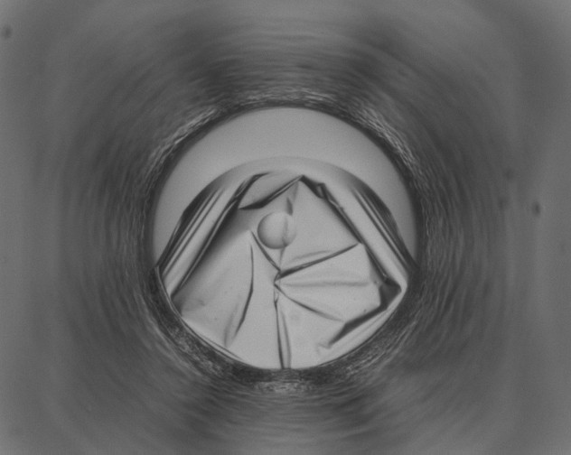 X0000087320356200705181017