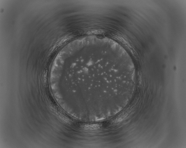 X0000087320357200705181017