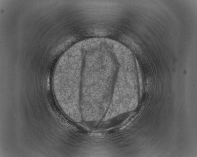 X0000087320358200705181017