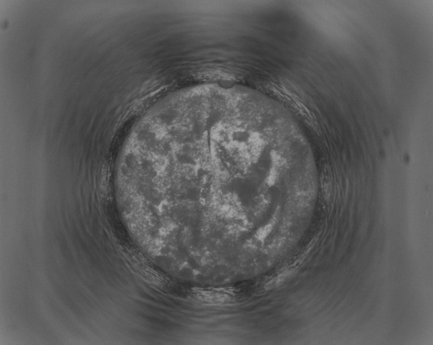 X0000087320359200705181017