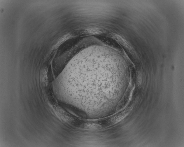 X0000087320360200705181017