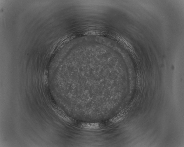 X0000087320361200705181017