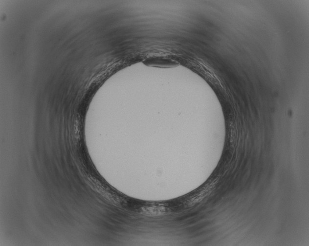 X0000087320362200705181017