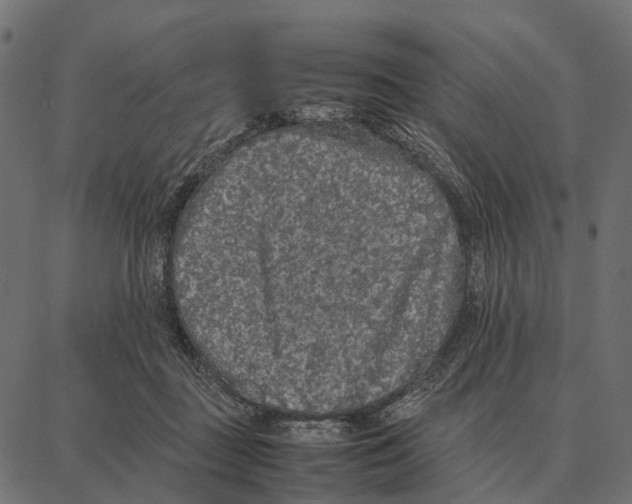 X0000087320363200705181017