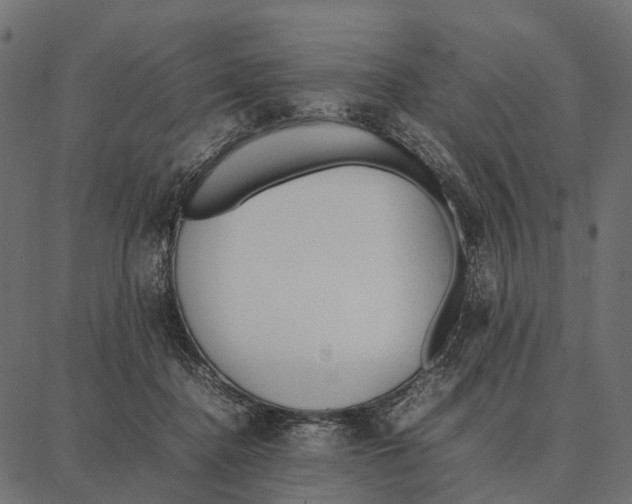 X0000087320364200705181017