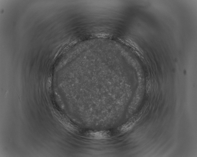 X0000087320365200705181017