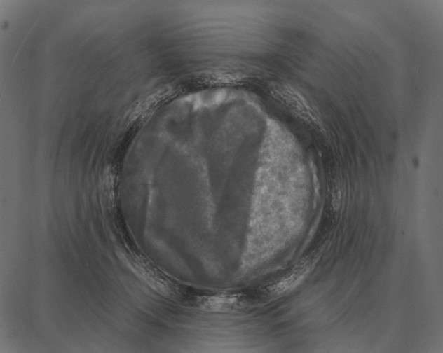 X0000087320366200705181017