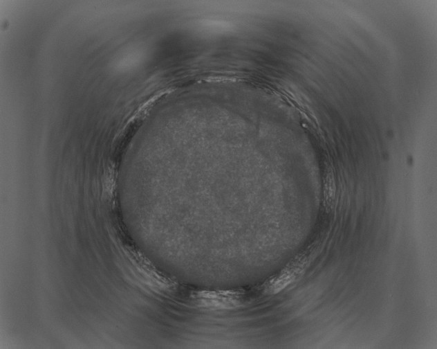 X0000087320367200705181017