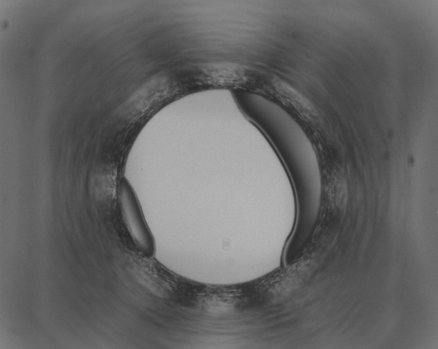 X0000087320368200705181017