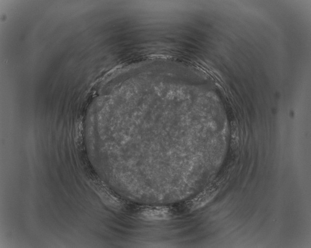 X0000087320369200705181017