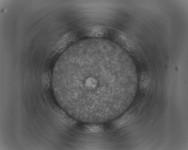 X0000087320370200705181017