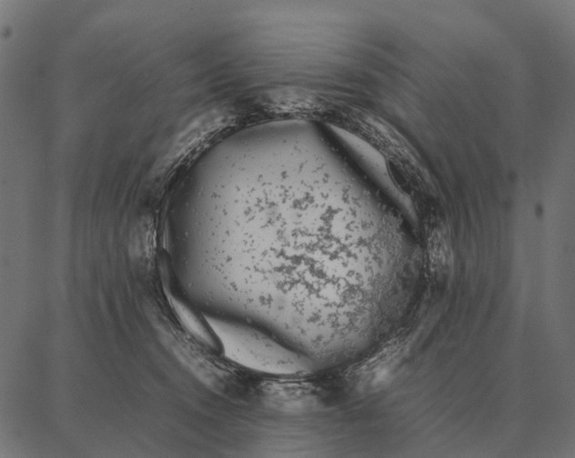 X0000087320372200705181017