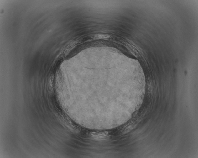 X0000087320373200705181017