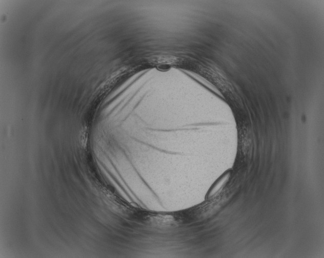 X0000087320374200705181017