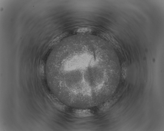 X0000087320375200705181017