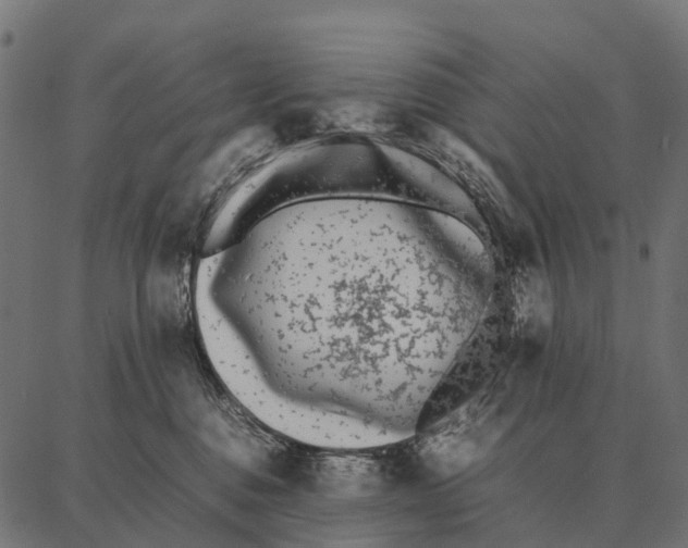 X0000087320376200705181017