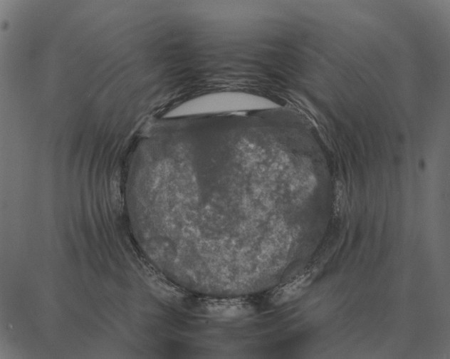 X0000087320377200705181017