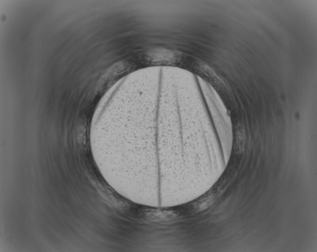 X0000087320379200705181017