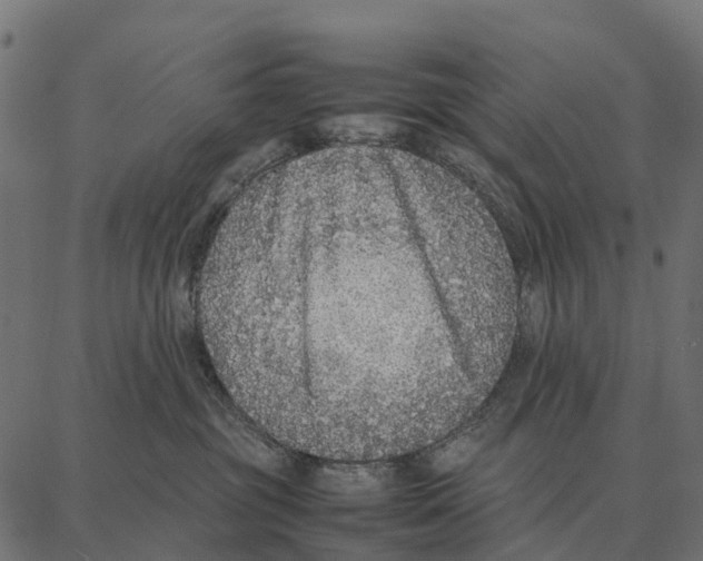 X0000087320381200705181017